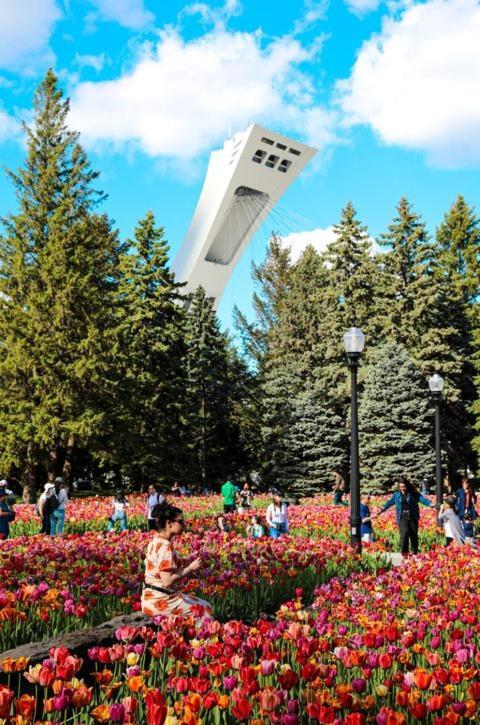 Suite Mont-Royal By Mtlvacationrentals モントリオール エクステリア 写真